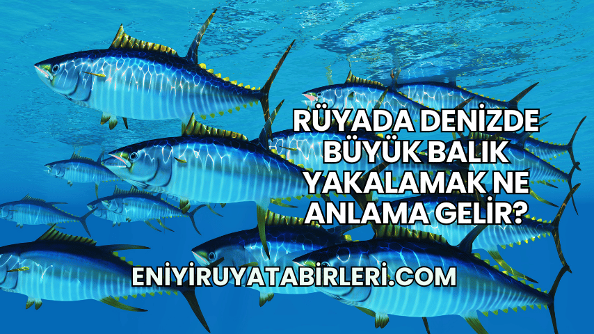 Rüyada Denizde Büyük Balık Yakalamak Ne Anlama Gelir?