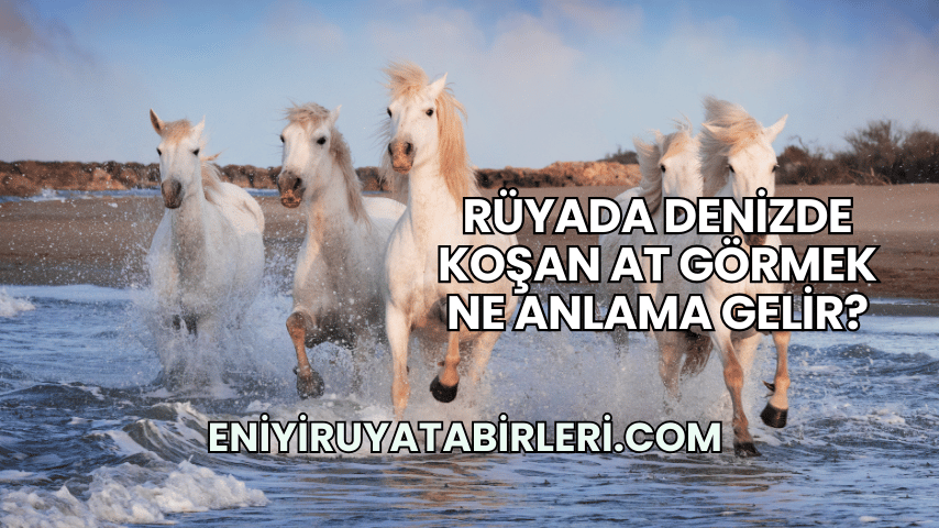 Rüyada Denizde Koşan At Görmek Ne Anlama Gelir?
