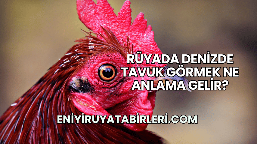 Rüyada Denizde Tavuk Görmek Ne Anlama Gelir?