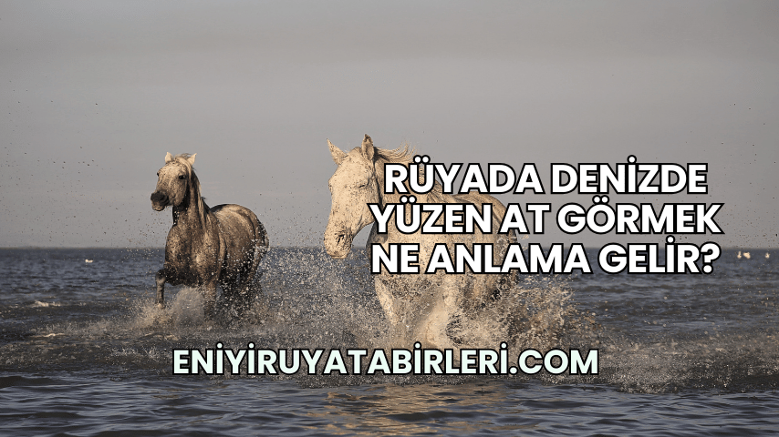 Rüyada Denizde Yüzen At Görmek Ne Anlama Gelir?