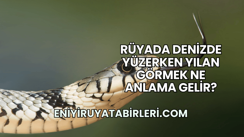 Rüyada Denizde Yüzerken Yılan Görmek Ne Anlama Gelir?