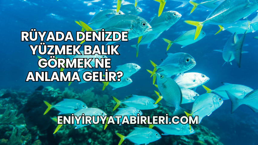 Rüyada Denizde Yüzmek Balık Görmek Ne Anlama Gelir?
