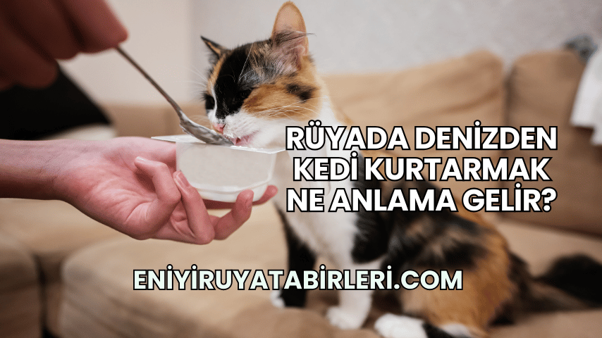 Rüyada Denizden Kedi Kurtarmak Ne Anlama Gelir?
