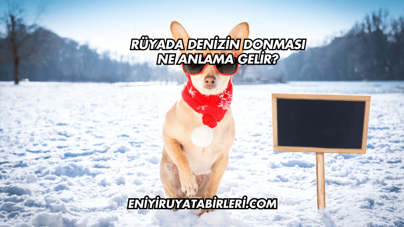 Rüyada Denizin Donması Ne Anlama Gelir?