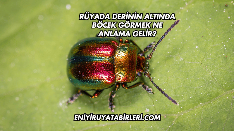 Rüyada Derinin Altında Böcek Görmek Ne Anlama Gelir?
