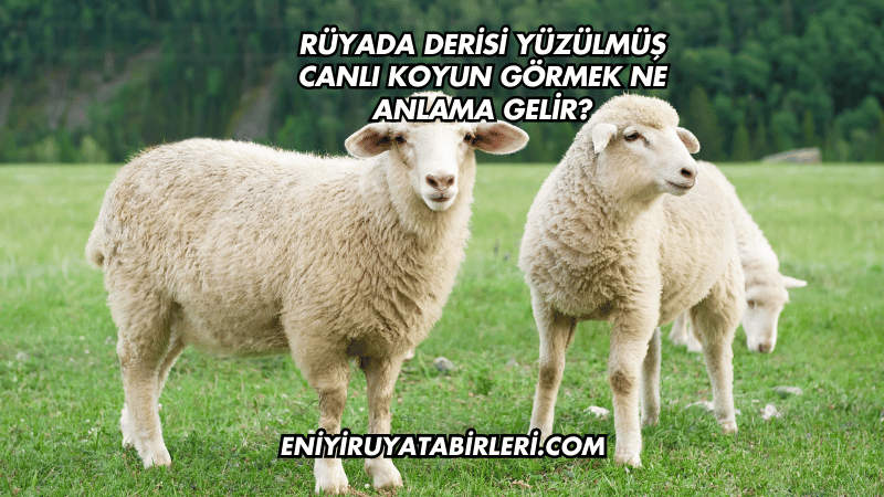 Rüyada Derisi Yüzülmüş Canlı Koyun Görmek Ne Anlama Gelir?