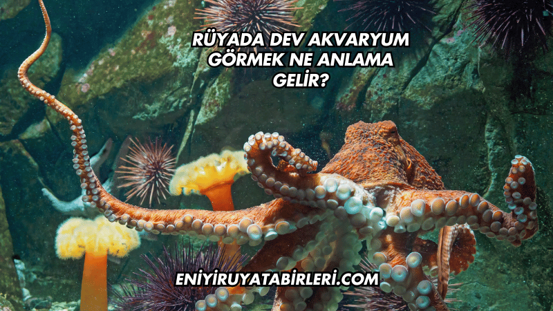Rüyada Dev Akvaryum Görmek Ne Anlama Gelir?
