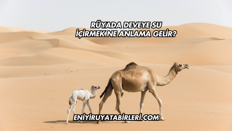 Rüyada Deveye Su İçirmek Ne Anlama Gelir?