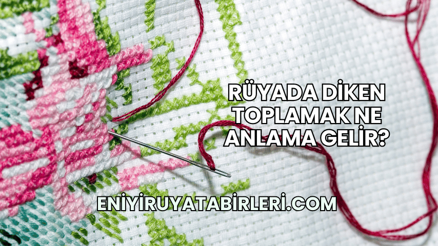 Rüyada Diken Toplamak Ne Anlama Gelir?