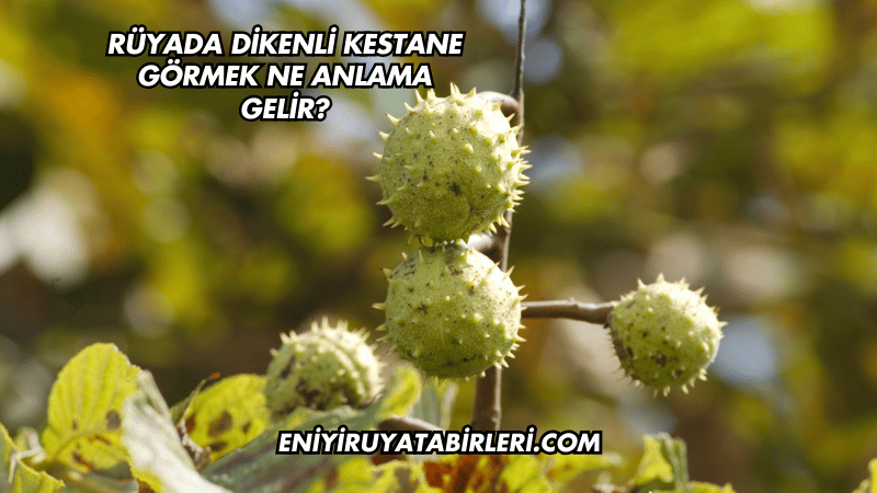 Rüyada Dikenli Kestane Görmek Ne Anlama Gelir?