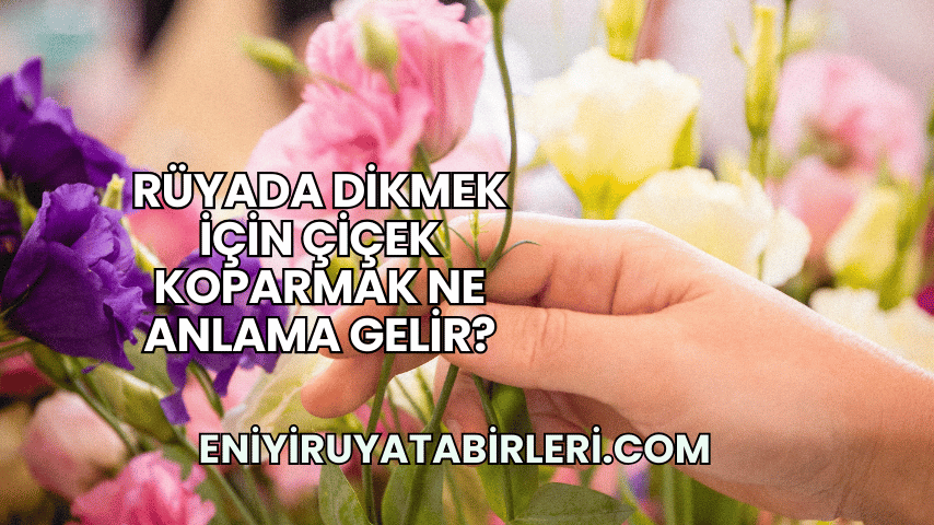 Rüyada Dikmek İçin Çiçek Koparmak Ne Anlama Gelir?