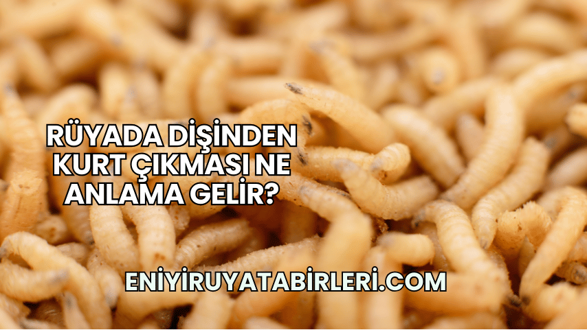 Rüyada Dişinden Kurt Çıkması Ne Anlama Gelir?