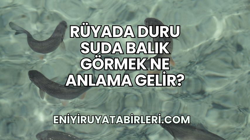 Rüyada Duru Suda Balık Görmek Ne Anlama Gelir?
