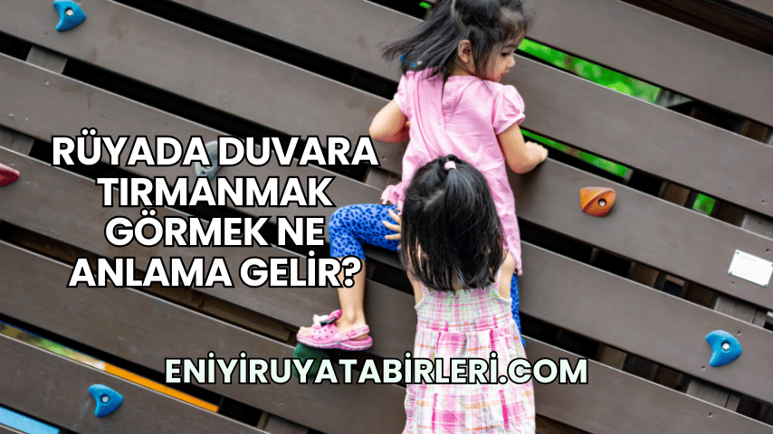 Rüyada Duvara Tırmanmak Görmek Ne Anlama Gelir?
