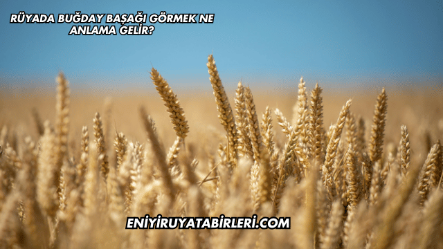 Rüyada Buğday Başağı Görmek Ne Anlama Gelir?