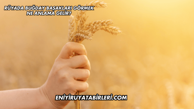 Rüyada Buğday Başakları Görmek Ne Anlama Gelir?