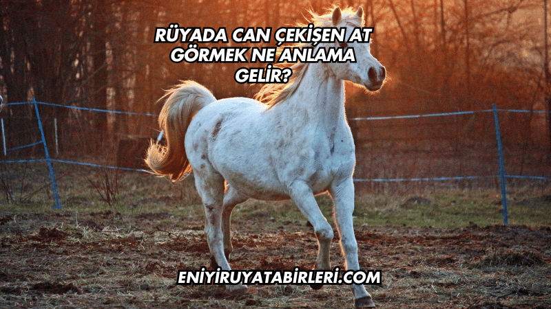 Rüyada Can Çekişen At Görmek Ne Anlama Gelir?