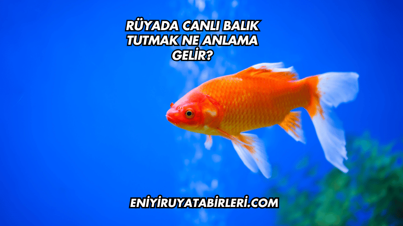 Rüyada Canlı Balık Tutmak Ne Anlama Gelir?