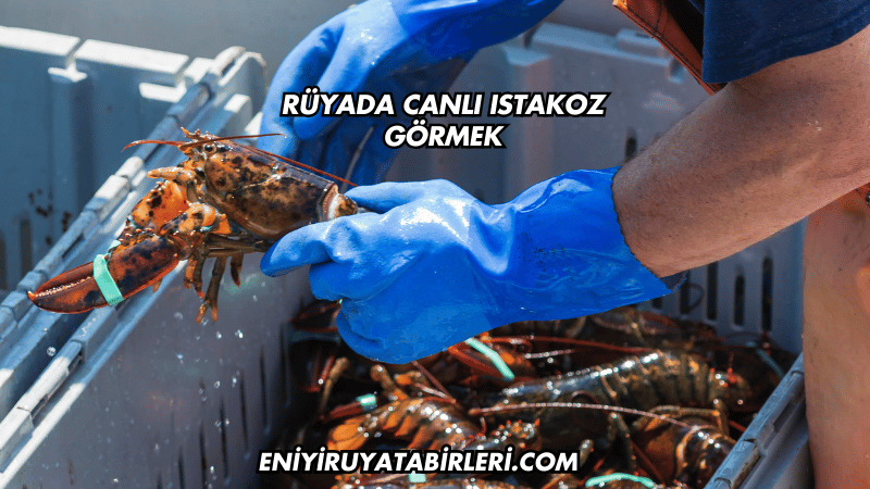 Rüyada Canlı Istakoz Görmek