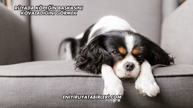 Rüyada Köpeğin Başkasını Kovaladığını Görmek
