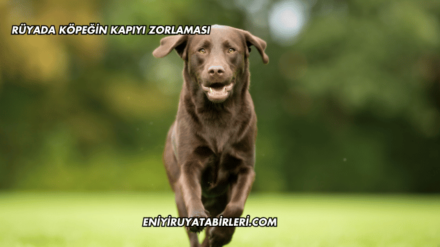 Rüyada Köpeğin Kapıyı Zorlaması