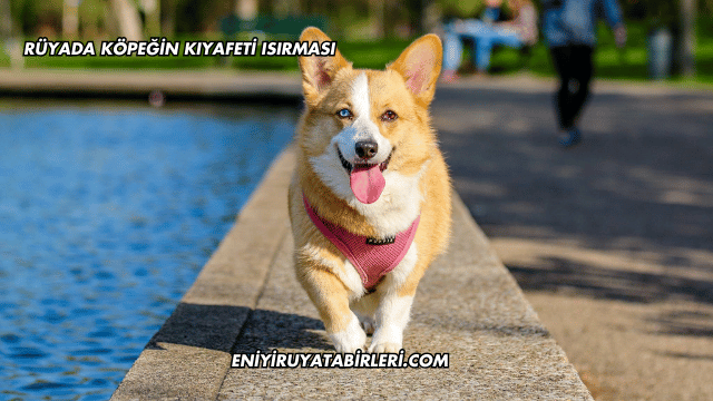 Rüyada Köpeğin Kıyafeti Isırması