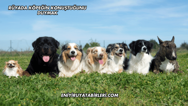 Rüyada Köpeğin Konuştuğunu Duymak
