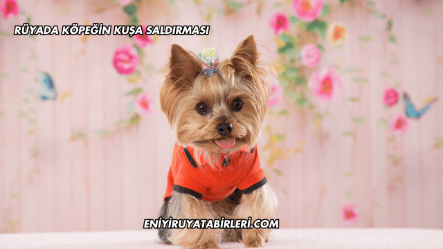 Rüyada Köpeğin Kuşa Saldırması