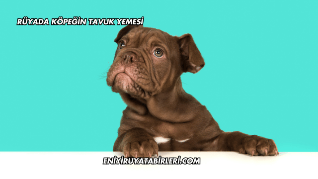 Rüyada Köpeğin Tavuk Yemesi