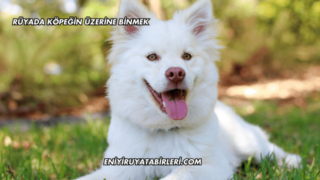 Rüyada Köpeğin Üzerine Binmek