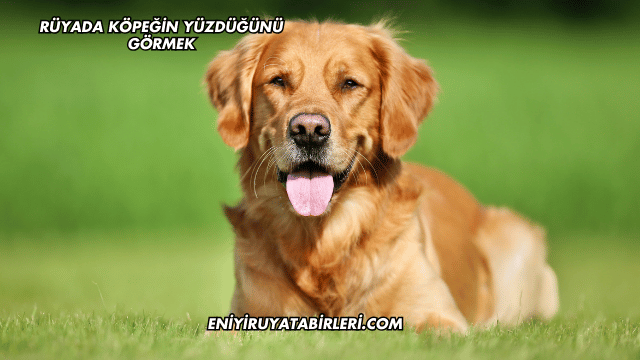 Rüyada Köpeğin Yüzdüğünü Görmek