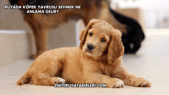Rüyada Köpek Yavrusu Sevmek Ne Anlama Gelir?