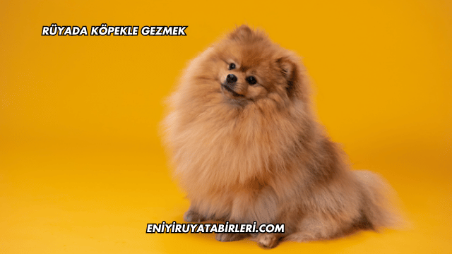 Rüyada Köpekle Gezmek