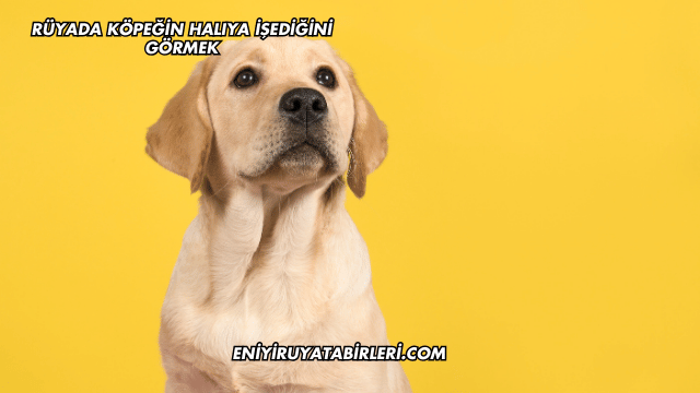 Rüyada Köpeğin Halıya İşediğini Görmek