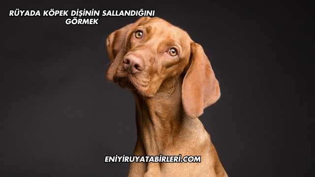 Rüyada Köpek Dişinin Sallandığını Görmek