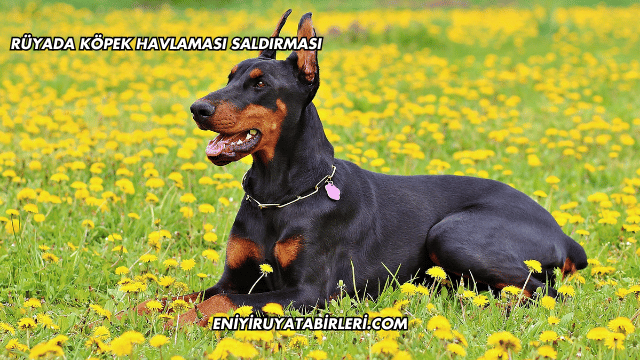 Rüyada Köpek Havlaması Saldırması