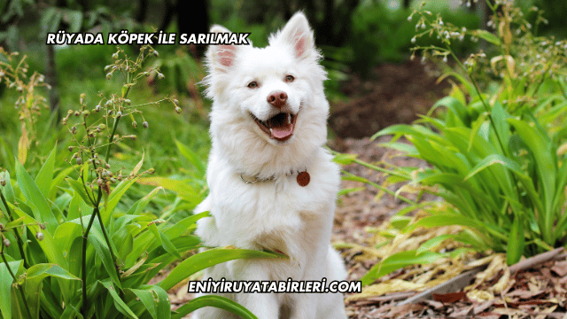 Rüyada Köpek İle Sarılmak
