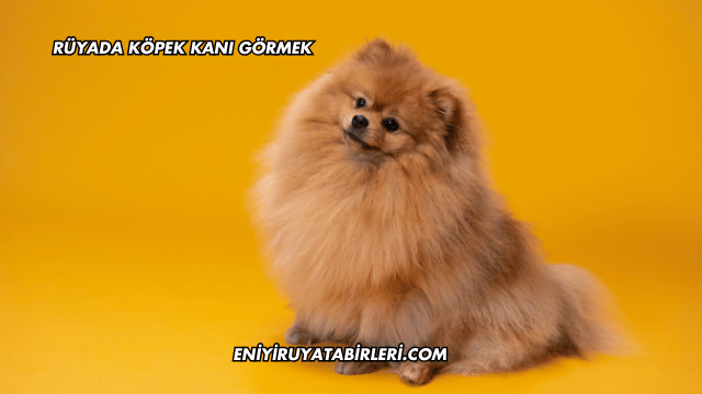 Rüyada Köpek Kanı Görmek