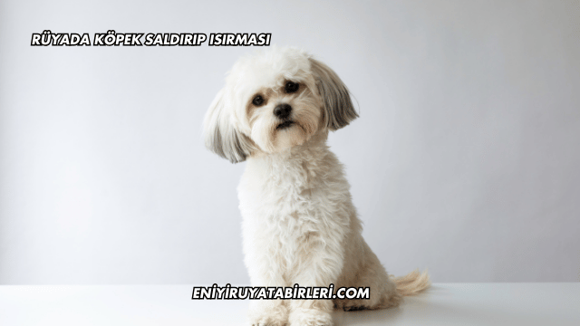Rüyada Köpek Saldırıp Isırması