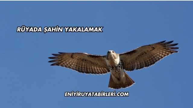 Rüyada Şahin Yakalamak