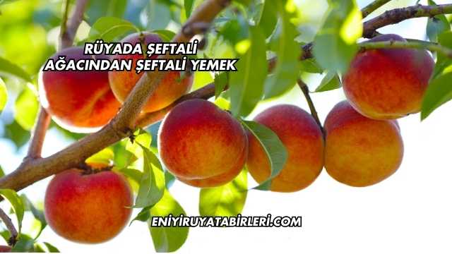 Rüyada Şeftali Ağacından Şeftali Yemek