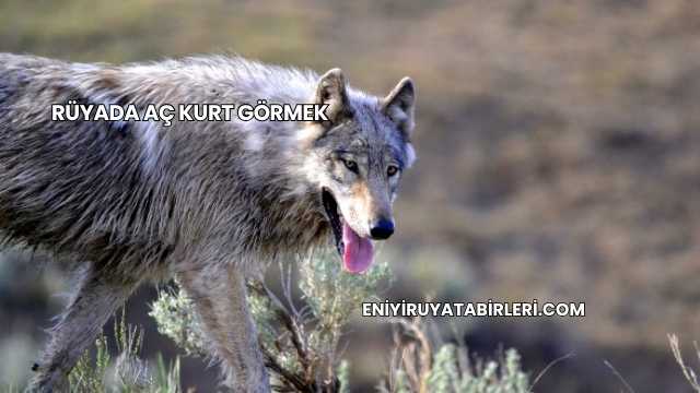 Rüyada Aç Kurt Görmek