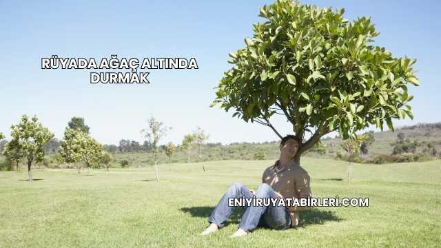 Rüyada Ağaç Altında Durmak