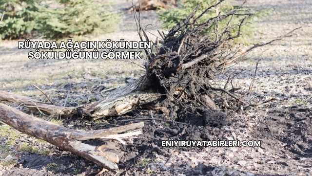 Rüyada Ağacın Kökünden Söküldüğünü Görmek