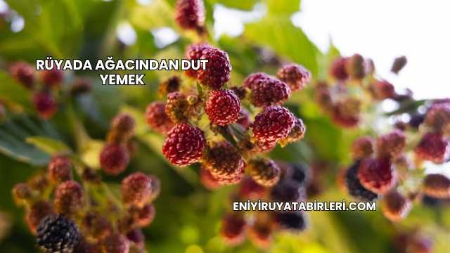 Rüyada Ağacından Dut Yemek