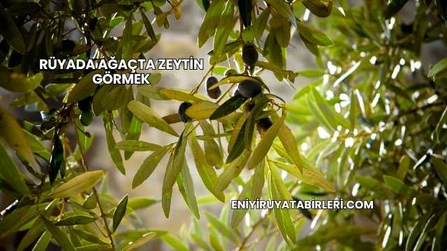 Rüyada Ağaçta Zeytin Görmek
