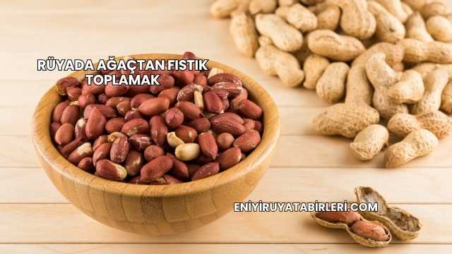 Rüyada Ağaçtan Fıstık Toplamak