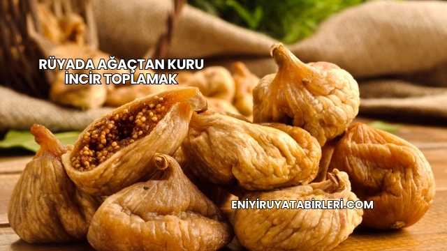 Rüyada Ağaçtan Kuru İncir Toplamak