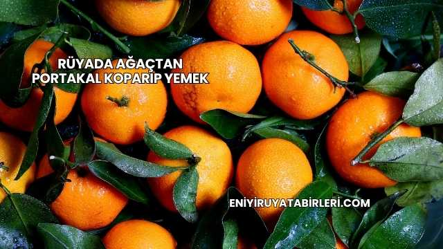Rüyada Ağaçtan Portakal Koparıp Yemek
