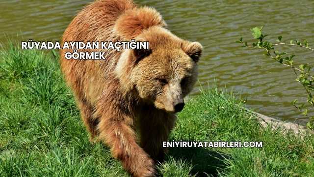 Rüyada Ayıdan Kaçtığını Görmek